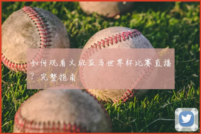 如何观看文班亚马世界杯比赛直播？完整指南