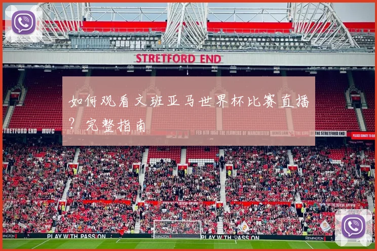 如何观看文班亚马世界杯比赛直播？完整指南